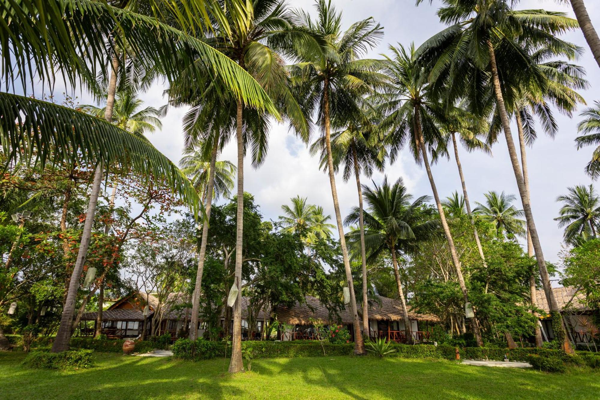 Lipa Lodge Beach Resort Lipa Noi Extérieur photo
